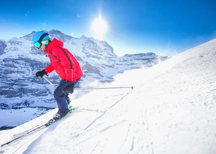 Attika Allod Park Haus C 801 By Interhome 达沃斯